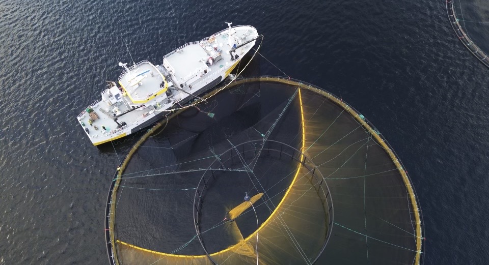 SmoothMove deployment, aerial view